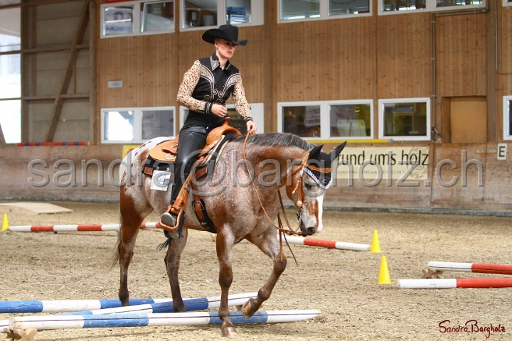 28-ApHC OT_224.jpg